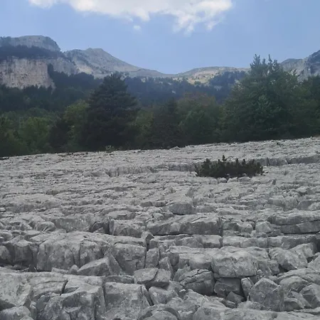 בית נופש Tomorrow *