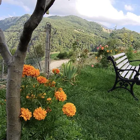 Tomorrow בית נופש *